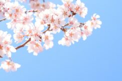 あなたの“得意”を活かせるポジションを一緒に探します｜オープンポジション採用【25061301-24】